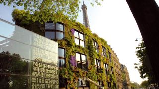 Le mur végétal du musée du quai Branly à ParisCette réalisation illustre parfaitement le marché : un site d'exception pour lequel le coût n'est pas un frein, quelques soucis techniques, notamment en sortie d'hiver 2009/2010 où le froid a été vif, sans oublier un problème au niveau de l'irrigation. Mais, globalement, depuis son installation en 2006, il se porte plutôt bien...PHOTO : JEAN-CLAUDE GRELIER/GFA