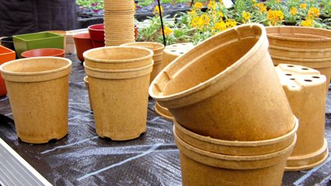 La vente au détail dans un contenant biodégradable ne peut se passer de communication pour valoriser le produit et répondre à la question du consommateur : que dois-je faire de mon emballage ?PHOTO : VALÉRIE VIDRIL