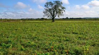 La Confédération paysanne refuse de se rendre aux ateliers sur la biodiversité du Conseil national de la refondation lancé par Emmanuel Macron au début de septembre. La Confédération paysanne refuse de se rendre aux ateliers sur la biodiversité du Conseil national de la refondation lancé par Emmanuel Macron au début de septembre.