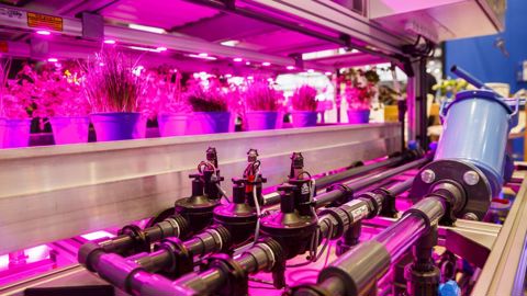 IPM, salon très complet, mettra - en janvier 2023 - l’accent sur les innovations pour le futur.