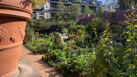 La 9e biennale du réseau Hortipaysages invitera à découvrir la diversité de « pratiques ou gestions frugales » et leurs applications agro-Ecologiques, avec valorisations du végétal.