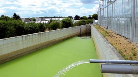 Toute nouvelle installation devrait inclure un plan de gestion de l'eau prenant en compte une irrigation optimisée au plus près des besoins de la plante, un système de récupération des eaux de ruissellement et de drainage, une collecte de l'eau de pluie, et éventuellement un système de traitement des eaux (ici la SCEA Froger Xavier).PHOTO : FRANCIS GINESTET