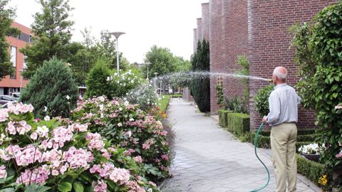 La cogestion avec les usagers est à bénéfices réciproques. Ici, à Alphen-a/d-Rijn, aux Pays-Bas, le quartier Copepad est entretenu à la fois par la municipalité et par les habitants du lotissement, chacun à son niveau. Primé par l'Entente florale européenne, ce quartier est devenu une vitrine de la ville à l'international, en particulier pour son mode de gestion participative.PHOTO : ODILE MAILLARD