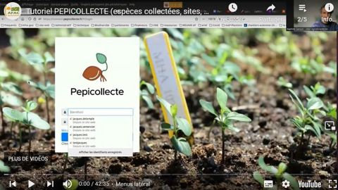 La traçabilité des collectes de fruits et graines locaux a besoin d’être optimisée. Le logiciel Pepicollecte apporte une assistance et sera amélioré collectivement.