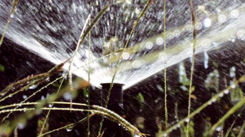 Certaines collectivités territoriales possèdent déjà un savoir-faire entermes d'irrigation à l'aide de sondes d'humidité. Le pilotage tensiométriquede l'arrosage des jeunes plantations d'arbres s'est ainsi développé durant lesdix dernières années.