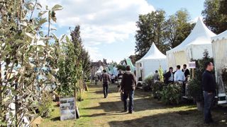 Comme toutes les années paires, Salonvert aura lieu à Saint-Chéron, en région parisienne. L'édition 2014 se tient les 24 et 25 septembre. L'occasion pour le Lien horticole de proposer un atelier sur les bonnes pratiques de plantation des arbres.
