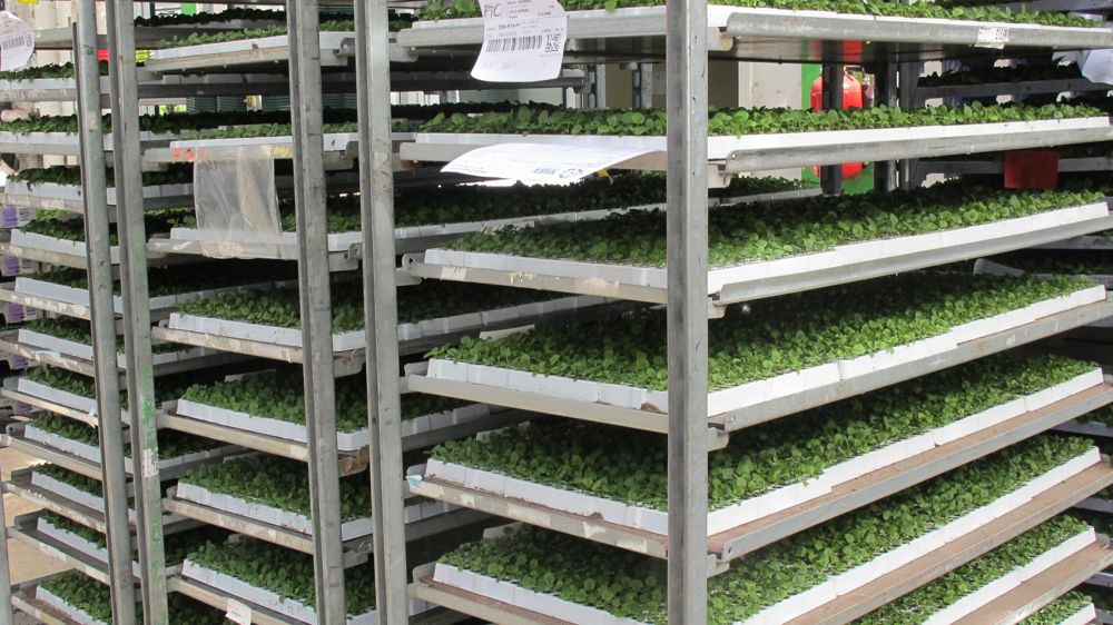 Les premiers travaux du groupe visant à mieux organiser la logistique dans la filière ont débouché sur la publication de deux documents, un guide des bonnes pratiques logistique et la standardisation des non-conformités.