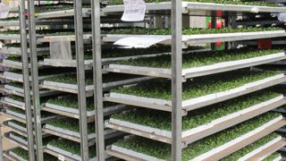 Les premiers travaux du groupe visant à mieux organiser la logistique dans la filière ont débouché sur la publication de deux documents, un guide des bonnes pratiques logistique et la standardisation des non-conformités. Les premiers travaux du groupe visant à mieux organiser la logistique dans la filière ont débouché sur la publication de deux documents, un guide des bonnes pratiques logistique et la standardisation des non-conformités.