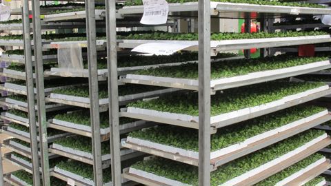 Les premiers travaux du groupe visant à mieux organiser la logistique dans la filière ont débouché sur la publication de deux documents, un guide des bonnes pratiques logistique et la standardisation des non-conformités.