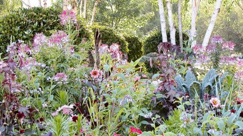 Le végétal, avec l'ensemble de ses composantes, production sous serre et pépinière, représente un chiffre d'affaires annuel de plus de 3 milliards d'euros. Le marché du jardin représente 7,5 milliards d'euros. Quant aux entreprises du paysage, elles totalisent plus de 5 milliards d'euros de chiffre d'affaires.