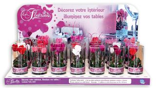 Les ventes de Fleurines® ont progressé jusqu'à ce que les magasins renouvellent leur offre de décoration.