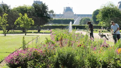 Les collectivités (ici le jardin du Louvre, à Paris, en juin dernier) sont une formidable vitrine pour les amateurs d'espaces verts. Mais la vitrine n'est plus suffisante aujourd'hui pour attirer autant de consommateurs qu'avant.PHOTO : PASCAL FAYOLLE