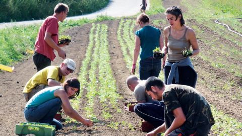 À l'instar du maraîchage qui a connu des périodes de crise, les productions ornementales doivent retrouver une image positive.PHOTO : CFPPA LA MOTTE-SERVOLEX