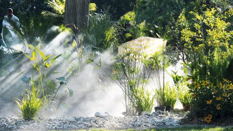 Le végétal peut aider les collectivités à faire face aux nouveaux enjeux de ce XXIe siècle, en particulier les îlots de chaleur urbains et la gestion de la ressource en eau.PHOTO : VALÉRIE VIDRIL
