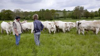 le montant du paiement en faveur des jeunes agriculteurs est de 102 euros par droit activé dans la limite des 34 premiers droits. le montant du paiement en faveur des jeunes agriculteurs est de 102 euros par droit activé dans la limite des 34 premiers droits.