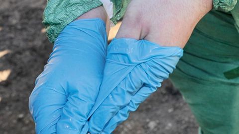 PHOTO : C. FAIMALI/GFA