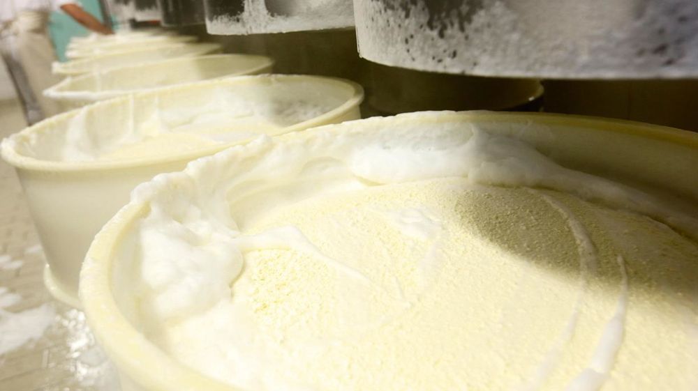 Au-delà d'un certain niveau de MPN (moyenne pondérée nationale), la part de valeur ajoutée revenant aux coopératives passe de 70 % à 60 %, et celle des affineurs de 30 % à 40 %. © JÉROME CHABANNE 