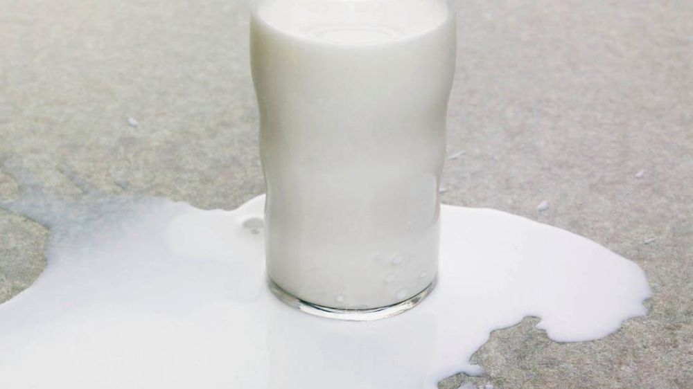 © DAVID ARKY/CORBIS