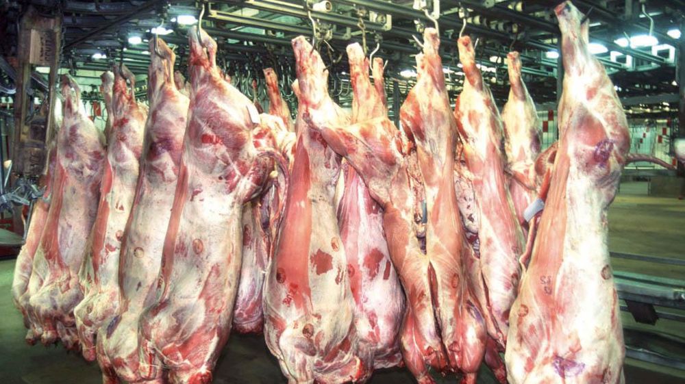 Deux usines représentent 50 % des abattages de bovins de la région.© CLAUDIUS THIRIET