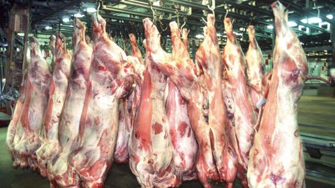Deux usines représentent 50 % des abattages de bovins de la région.© CLAUDIUS THIRIET