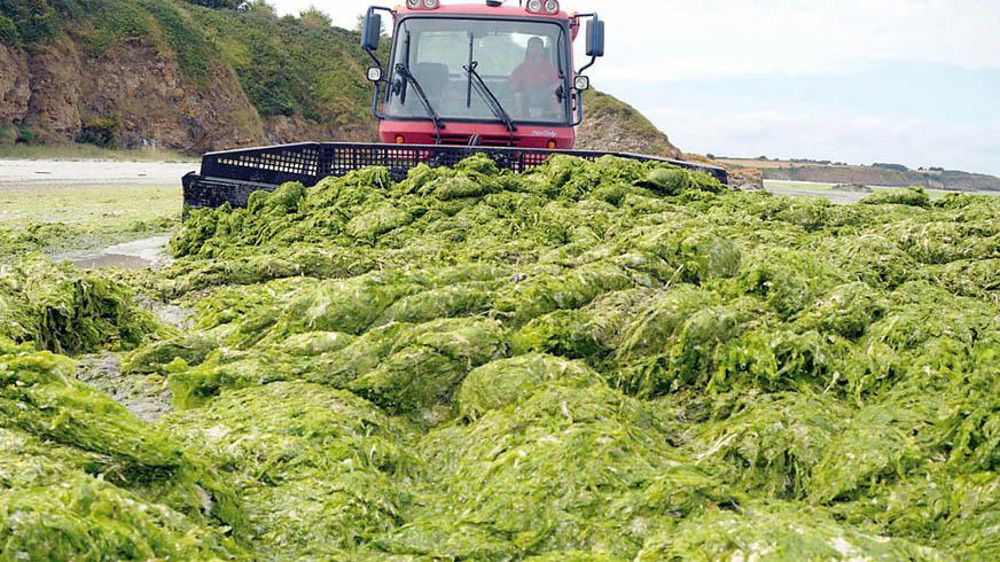 ©PHOTOPQR/LE TÉLÉGRAMME/CYRIL FRIONNET