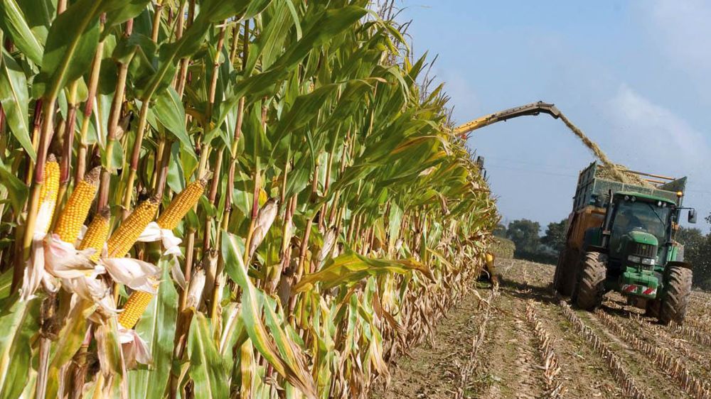 © SEBASTIEN CHAMPION