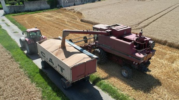 La moisson 2022 de blé tendre est caractérisée par « une précocité historique » et « une grande hétérogénéité dans les rendements », selon Agritel. © Cédric FAIMALI
