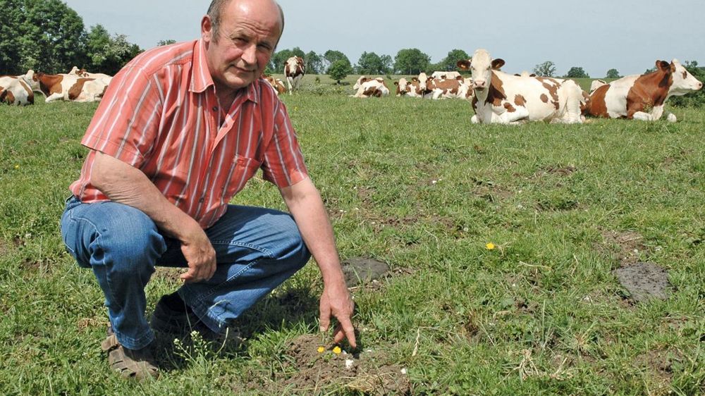 Pascal Mauvais : « Les pâtures ont moins été touchées que les prés de fauche, mais l'herbe n'y a pas été suffisante en juin, nous obligeant à distribuer du foin pendant tout le mois. »© J.-M. V.