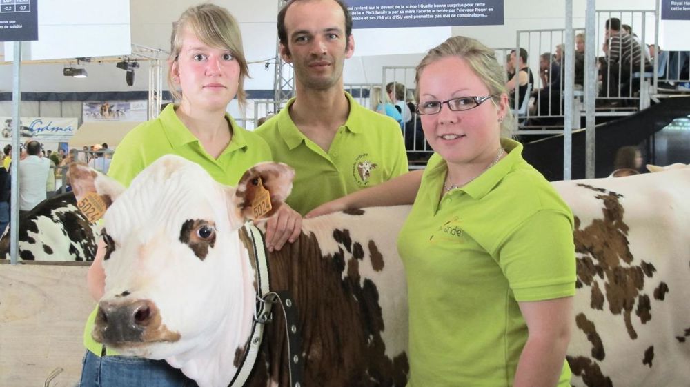 Le 19 juillet aura lieu le concours national « morphologie » génisses normandes à Mayenne. Barbara Paris, Xavier Vincent et Céline Legros font partie de l'équipe organisatrice.