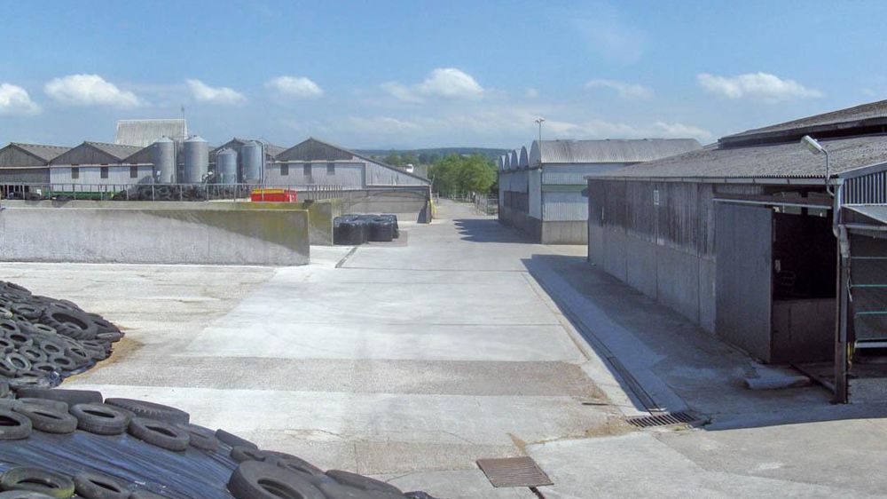 De nombreux éleveurs européens misent sur l'agrandissement pour conforter leur avenir.