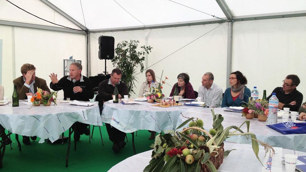 © JEAN-MICHEL VOCORET