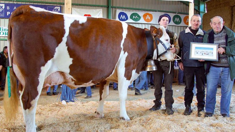 Urélie (Pastis/Nogano), à Daniel Remonay (Doubs), prix Didier Lanquetin de l'Orchexpo 2010