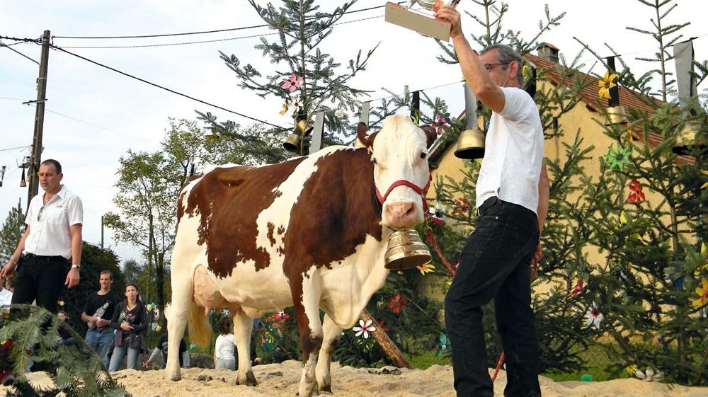 Du canton d'Amancey, c'est le Gaec de l'Aurore qui tire le plus de lait de son foin-regain, 6 800 kg sans concentré sur 8 100 kg/VL.