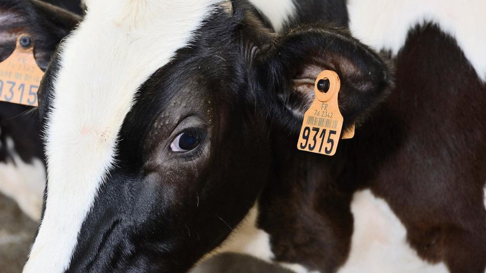 © STÉPHANE LEITENBERGER