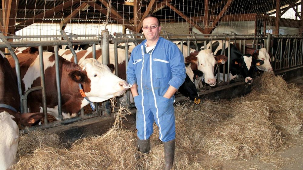 En faisant vêler jeune, en achetant deux animaux et en utilisant de la semence sexée, Éric Lafontaine a reconstitué le troupeau à ses frais.© A.B.