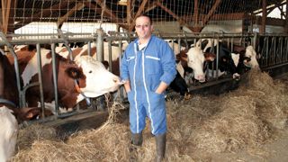 En faisant vêler jeune, en achetant deux animaux et en utilisant de la semence sexée, Éric Lafontaine a reconstitué le troupeau à ses frais.© A.B. En faisant vêler jeune, en achetant deux animaux et en utilisant de la semence sexée, Éric Lafontaine a reconstitué le troupeau à ses frais.© A.B.