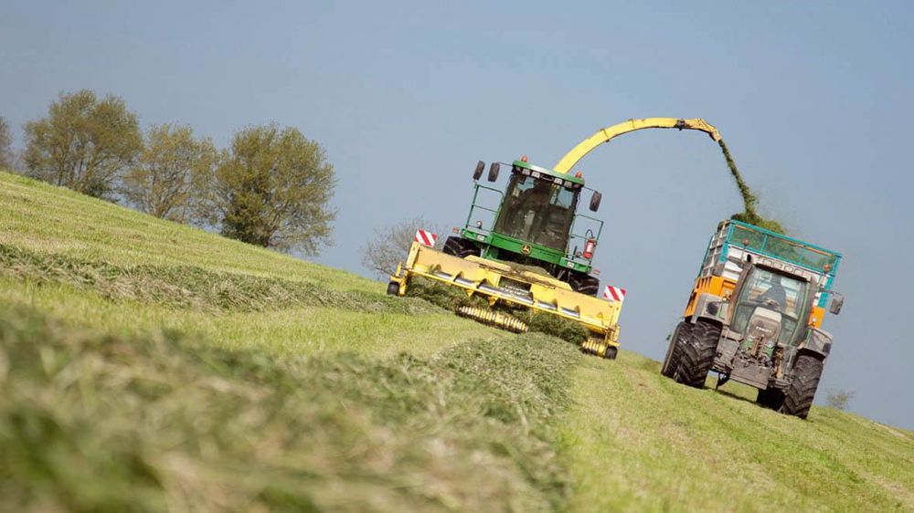 30 à 40 % de rendement en moins pour certains ensilages d'herbe et moins de surface disponible pour les stocks.© SÉBASTIEN CHAMPION
