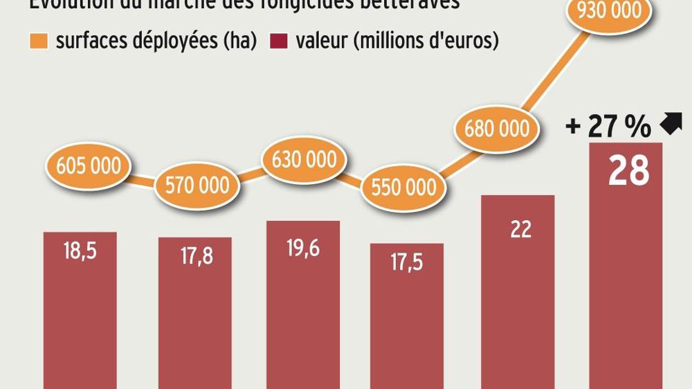 Après une hausse des ventes de 25 % en 2016, le marché des fongicides betteraves fait à nouveau un bond de 27 % en 2017, à 28 M€. Cette augmentation s'explique à la fois par un accroissement de près de 20 % des surfaces implantées et un nombre moyen de traitements plus élevé, 2,12 contre 1,9 l'an dernier. Les surfaces déployées sont passées de 680 000 ha en 2016 à 930 000 ha en 2017.
