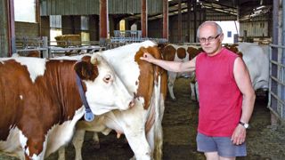 Gilles Laffage relevait les collets tous les matins. Les blaireaux (jusqu'à 20 par jour) étaient ensuite récupérés par les lieutenants de louveterie. Gilles Laffage relevait les collets tous les matins. Les blaireaux (jusqu'à 20 par jour) étaient ensuite récupérés par les lieutenants de louveterie.