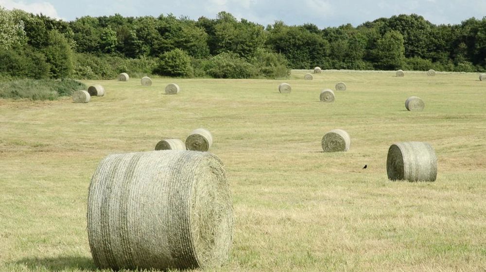 © JEAN-MICHEL VOCORET