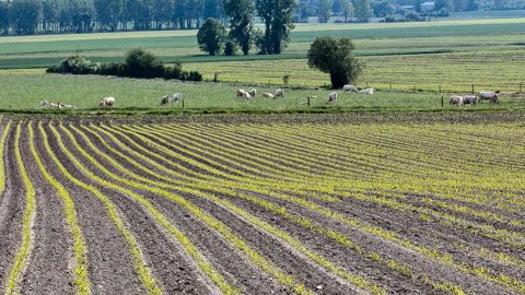 © WATIER-VISUEL