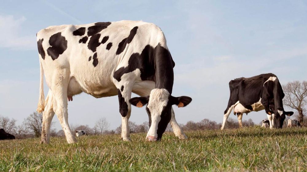 © SÉBASTIEN CHAMPION