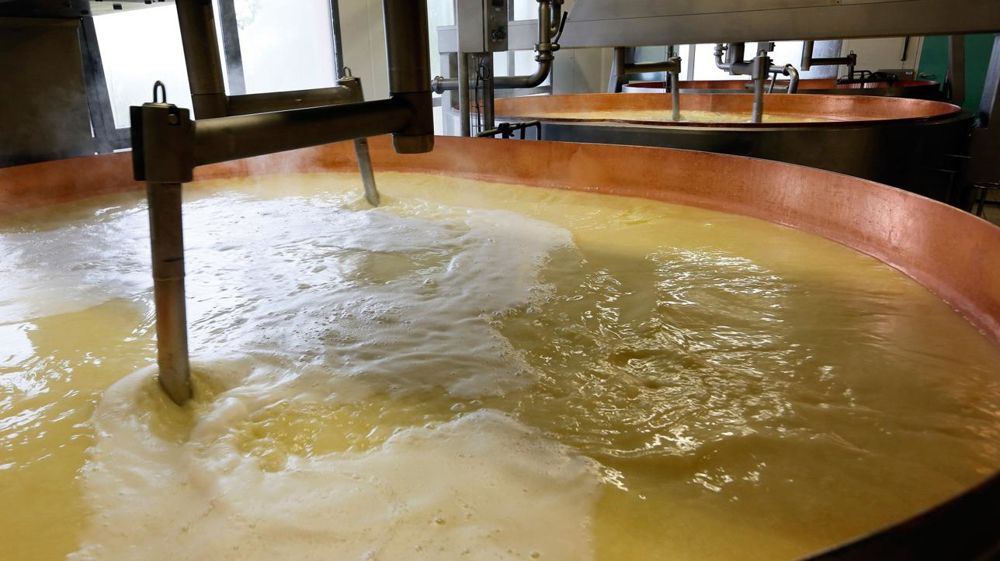 Outre la limitation de l'intensification laitière, le nouveau cahier des charges limite la capacité des cuves à douze fromages et à trois le nombre de fabrications par 24 heures. © JÉRÔME CHABANNE