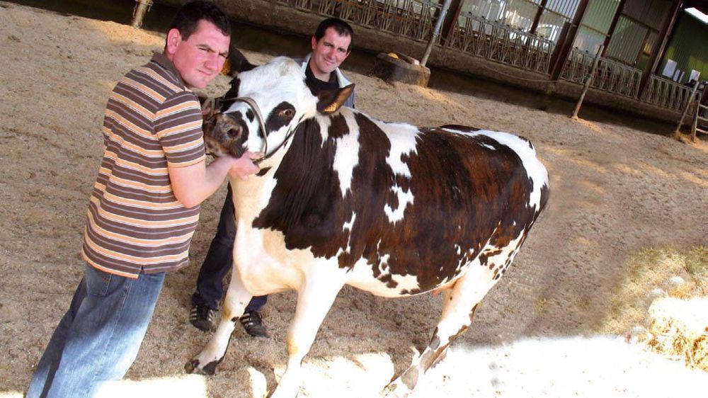 « Nous, nous voulons être éleveurs avant tout et rester maîtres de nos décisions. »