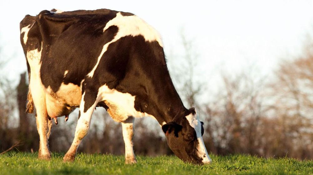 © SÉBASTIEN CHAMPION