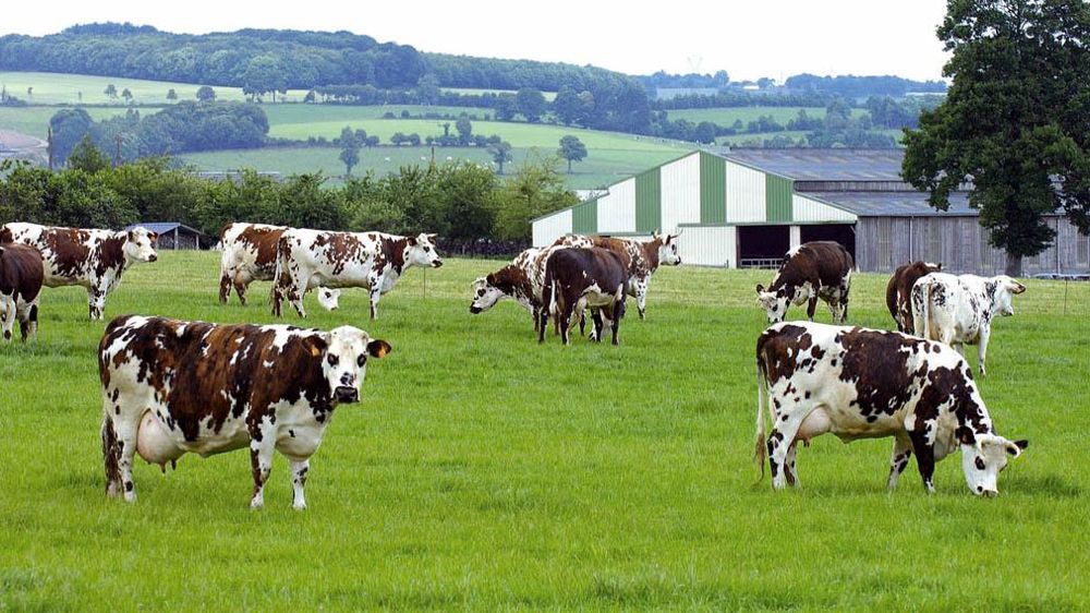 © STÉPHANE LEITENBERGER