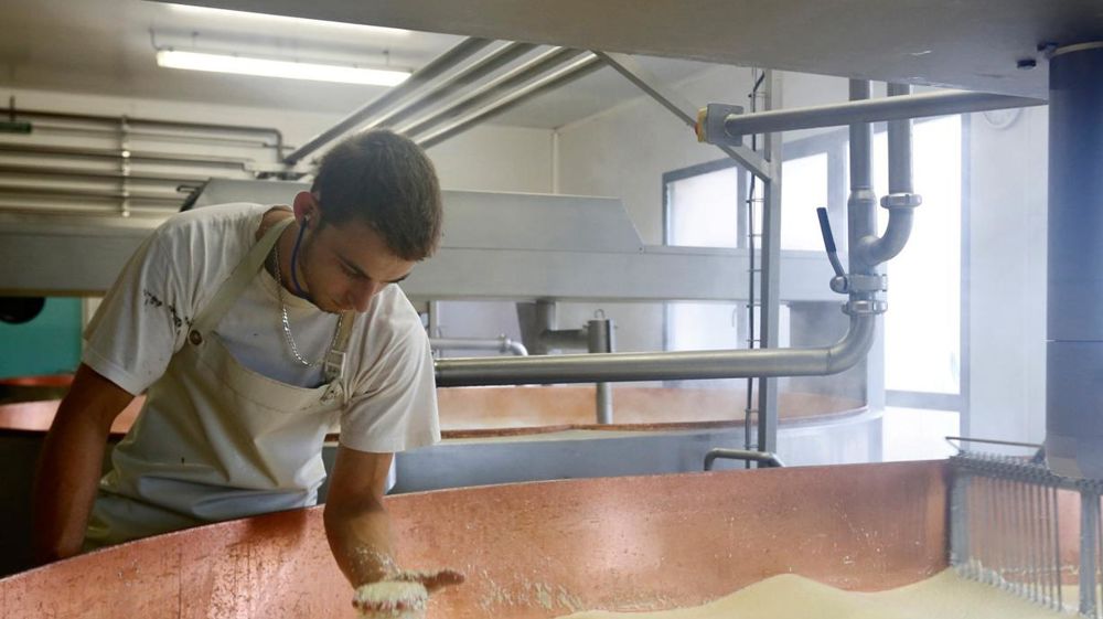 Conseil Élevage 25-90 et l'Institut de l'élevage ambitionnent de développer des outils permettant d'analyser en routine la fromageabilité du lait cru.© JÉRÔME CHABANNE