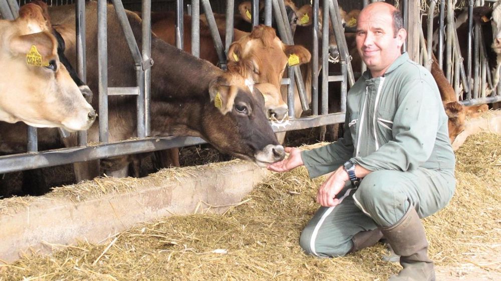 « La décision de changer de race a été prise presque sur un coup de tête, après avoir rencontré deux éleveurs jersiais », commente Yvan Galerneau.© J.P.