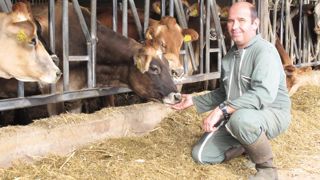 « La décision de changer de race a été prise presque sur un coup de tête, après avoir rencontré deux éleveurs jersiais », commente Yvan Galerneau.© J.P. « La décision de changer de race a été prise presque sur un coup de tête, après avoir rencontré deux éleveurs jersiais », commente Yvan Galerneau.© J.P.
