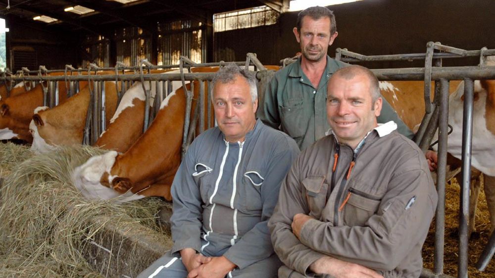 Patrick Guenat, David Miot et Philippe Jorand, trois des quatre associés du Gaec de la Marnotte© J.-M.V.